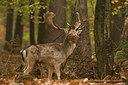 BUITEN BEELD Foto: 48279