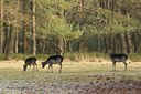 BUITEN BEELD Foto: 48283