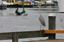 BUITEN BEELD Foto: 48339