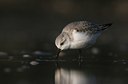 BUITEN BEELD Foto: 48340