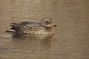 BUITEN BEELD Foto: 48344