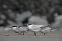 BUITEN BEELD Foto: 48345