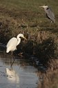 BUITEN BEELD Foto: 48362