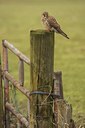 BUITEN BEELD Foto: 48371