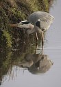 BUITEN BEELD Foto: 48373