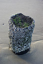 BUITEN BEELD Foto: 48420