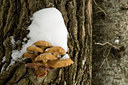 BUITEN BEELD Foto: 48458