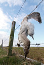 BUITEN BEELD Foto: 48460