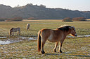 BUITEN BEELD Foto: 48524