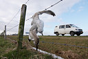 BUITEN BEELD Foto: 48528