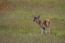 BUITEN BEELD Foto: 48535