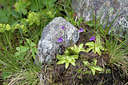 BUITEN BEELD Foto: 48637