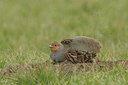 BUITEN BEELD Foto: 48702