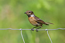 BUITEN BEELD Foto: 48741