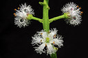 BUITEN BEELD Foto: 48767