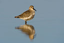 BUITEN BEELD Foto: 48769