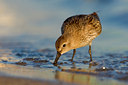 BUITEN BEELD Foto: 48771