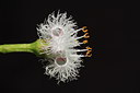 BUITEN BEELD Foto: 48774