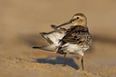 BUITEN BEELD Foto: 48791