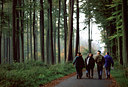 BUITEN BEELD Foto: 48852