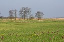 BUITEN BEELD Foto: 48859