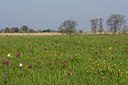 BUITEN BEELD Foto: 48862