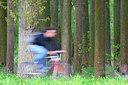 BUITEN BEELD Foto: 48870