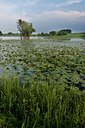 BUITEN BEELD Foto: 48947