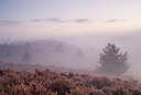 BUITEN BEELD Foto: 48955