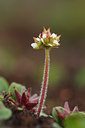 BUITEN BEELD Foto: 4285