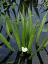 BUITEN BEELD Foto: 4309