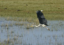 BUITEN BEELD Foto: 4375