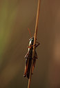 BUITEN BEELD Foto: 49004