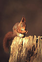 BUITEN BEELD Foto: 49037