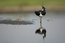 BUITEN BEELD Foto: 49057