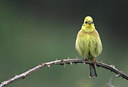 BUITEN BEELD Foto: 49086