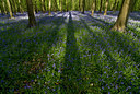 BUITEN BEELD Foto: 49130