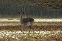 BUITEN BEELD Foto: 49156