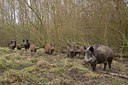 BUITEN BEELD Foto: 49164