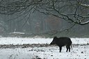 BUITEN BEELD Foto: 49168