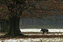 BUITEN BEELD Foto: 49172