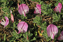 BUITEN BEELD Foto: 49178