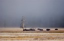 BUITEN BEELD Foto: 49195