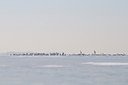 BUITEN BEELD Foto: 49256