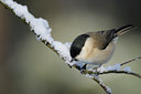 BUITEN BEELD Foto: 49263