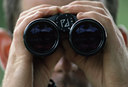BUITEN BEELD Foto: 49275