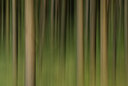 BUITEN BEELD Foto: 49323
