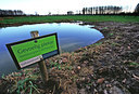 BUITEN BEELD Foto: 49389