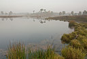 BUITEN BEELD Foto: 49432