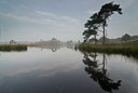 BUITEN BEELD Foto: 49438